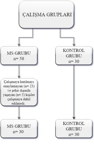 Şekil 3.1. Çalışma Şeması                       