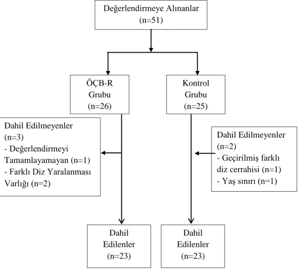 Şekil 4.1. Bireylerin akış diyagramı. 