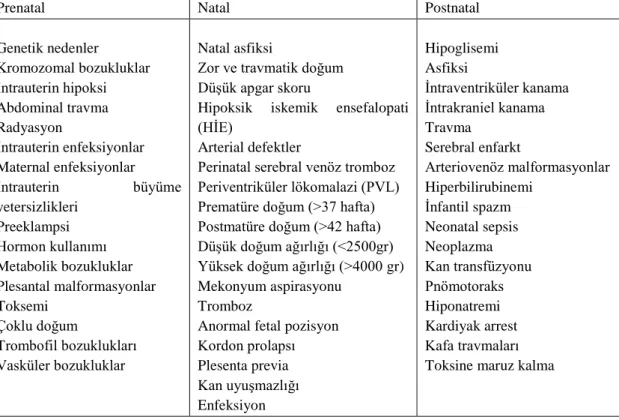 Tablo 2.1. SP’nin prenatal, natal ve postnatal etiyolojisi 