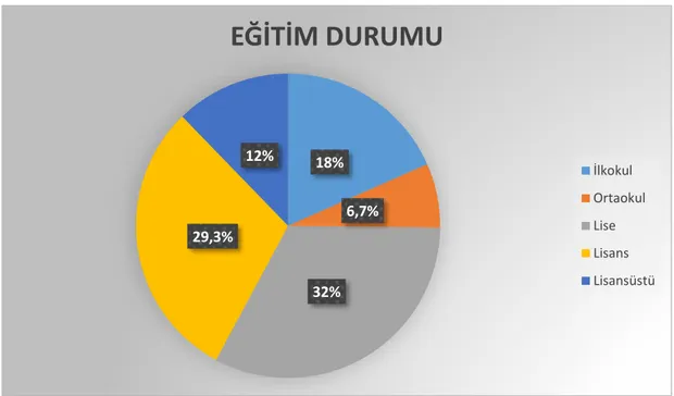 Şekil 4.1. Çalışmaya katılan bireylerin eğitim durumu. 