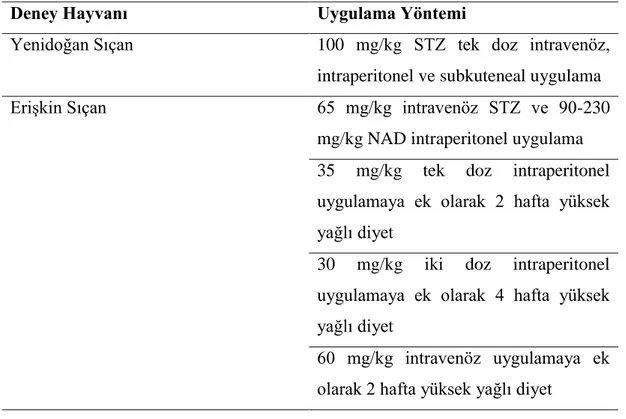 Tablo 2.9. Tip 2 Diabetes Mellitus deneysel modeli oluşturulan sıçanlarda uygulama 