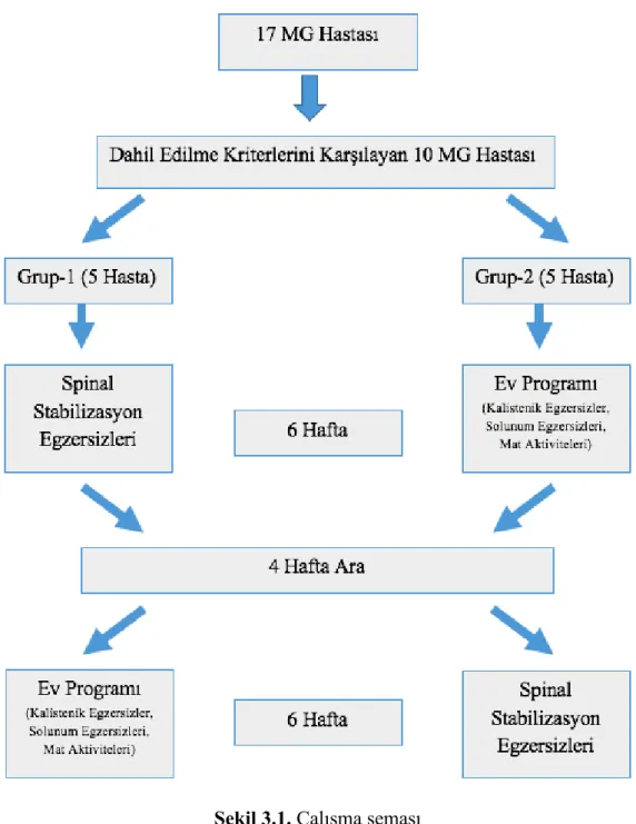 Şekil 3.1. Çalışma şeması 