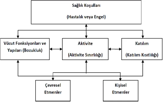 Şekil 2.3. ICF bileşenleri arasındaki etkileşim. 