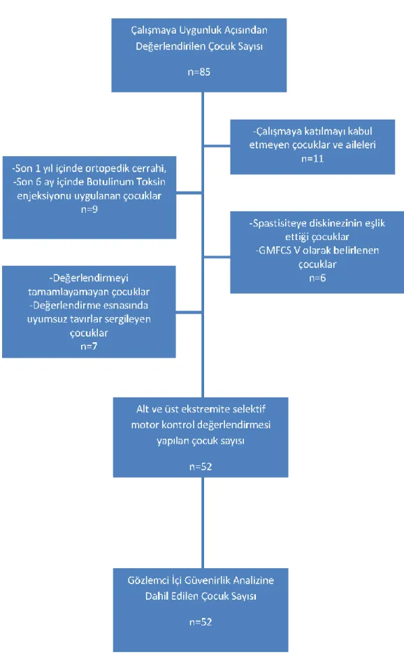 Şekil 3.1. Çalışmanın akış diyagramı. 