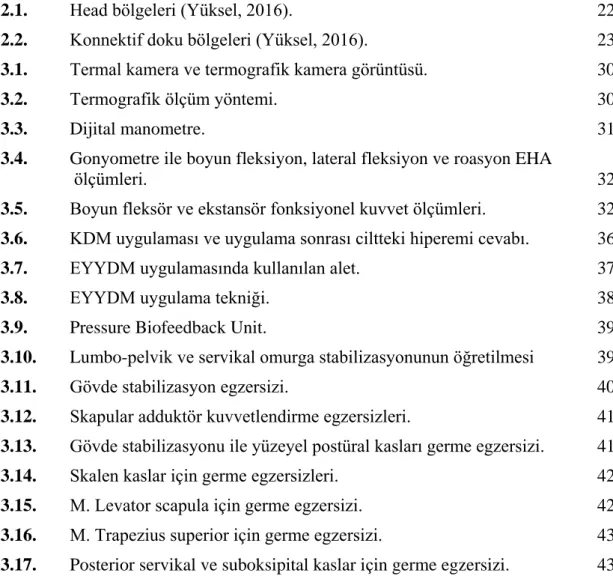 Şekil   Sayfa 