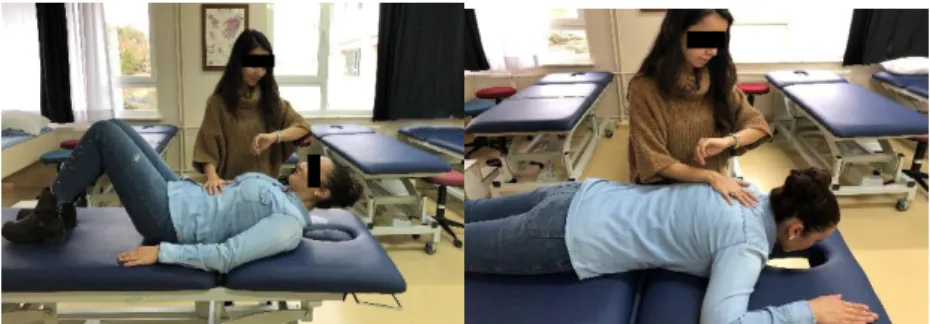 Şekil 3.4. Gonyometre ile boyun fleksiyon, lateral fleksiyon ve roasyon EHA 