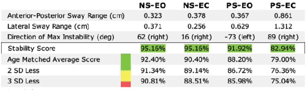Şekil 3.8. Stabilite skorları  