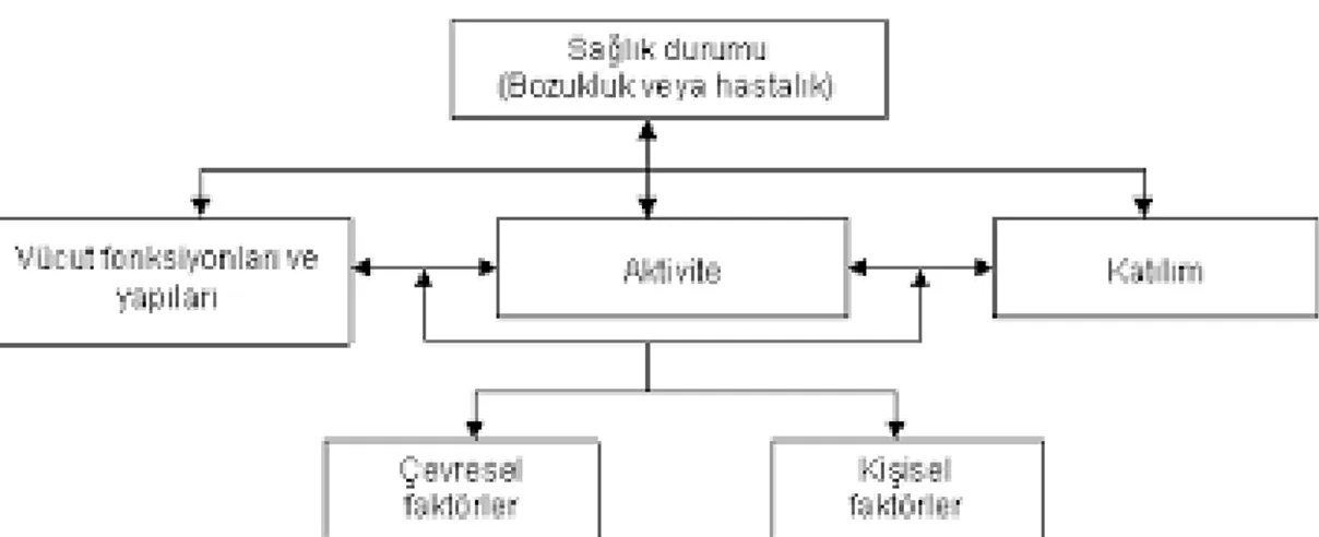 Şekil 2.3. Sağlığın, işlevselliğin ve yetiyitiminin uluslararası sınıflaması şeması (124)