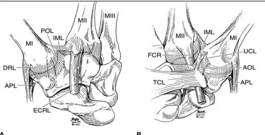 Tablo 2.2. TMK eklemin ligamentleri (22). 