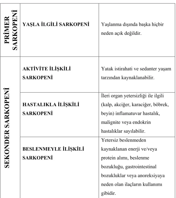 Tablo 2.1. Sarkopeni sınıflandırması. 