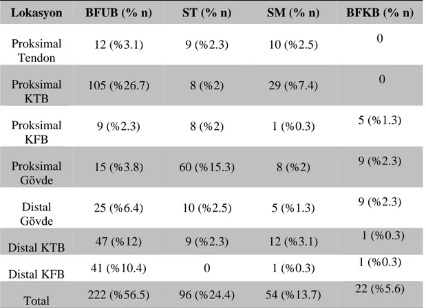 Tablo 2.1. Yaralanma yüzdelerine göre kaslar. Lokasyon  BFUB (% n)  ST (% n)  SM (% n)  BFKB (% n)  Proksimal  Tendon  12 (%3.1)  9 (%2.3)  10 (%2.5)  0  Proksimal  KTB  105 (%26.7)  8 (%2)  29 (%7.4)  0  Proksimal  KFB  9 (%2.3)  8 (%2)  1 (%0.3)  5 (%1.3