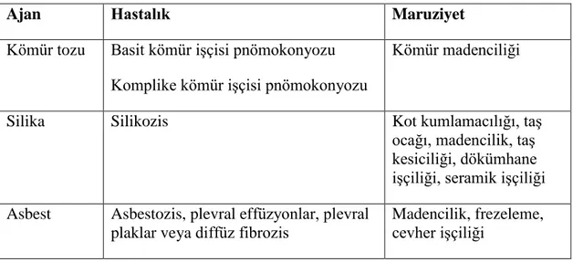 Tablo 2.4. Mineral tozları ile oluşan akciğer hastalıkları 