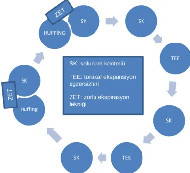 Şekil 2.2. Aktif solunum teknikleri döngüsü. 