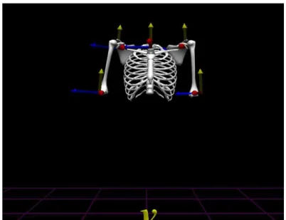 Şekil 3.1. Anatomik digitizasyon sonrası elde edilen 3-boyutlu görüntü. 