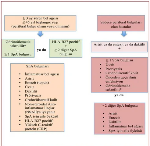 Şekil 2.1. Aksiyal SpA için ASAS sınıflandırma kriterleri. *SpA ile ilişkili sakroiliiti 