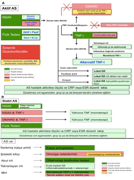 Şekil 2.2. Aktif AS (A) veya stabil AS (B) hastalarının tedavisi için başlıca 
