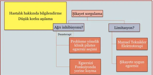 Şekil 2.5. BETY'de etkili tanışmayı takiben, problem analizi seansı algoritması. 