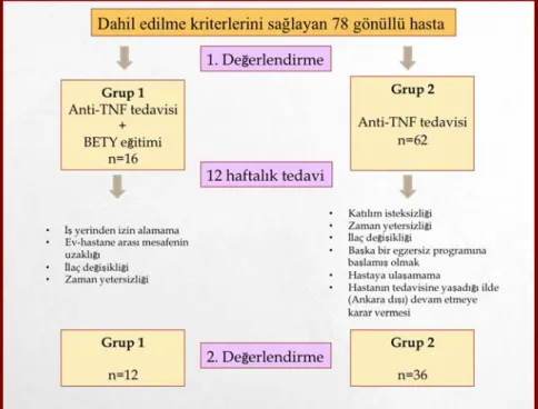 Şekil 3.1. Çalışmaya katılım şeması. 