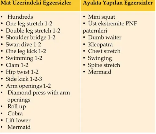 Şekil 3.2. BETY grubunda uygulanan klinik pilates egzersizleri (Bu egzersizler 