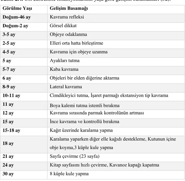 Tablo 2.4. Üst ekstremite fonksiyonlarının yaşa göre gelişim basamakları (52). 