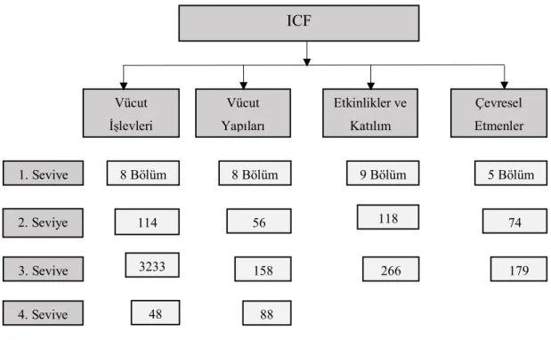 Şekil 2.2. ICF şeması. 