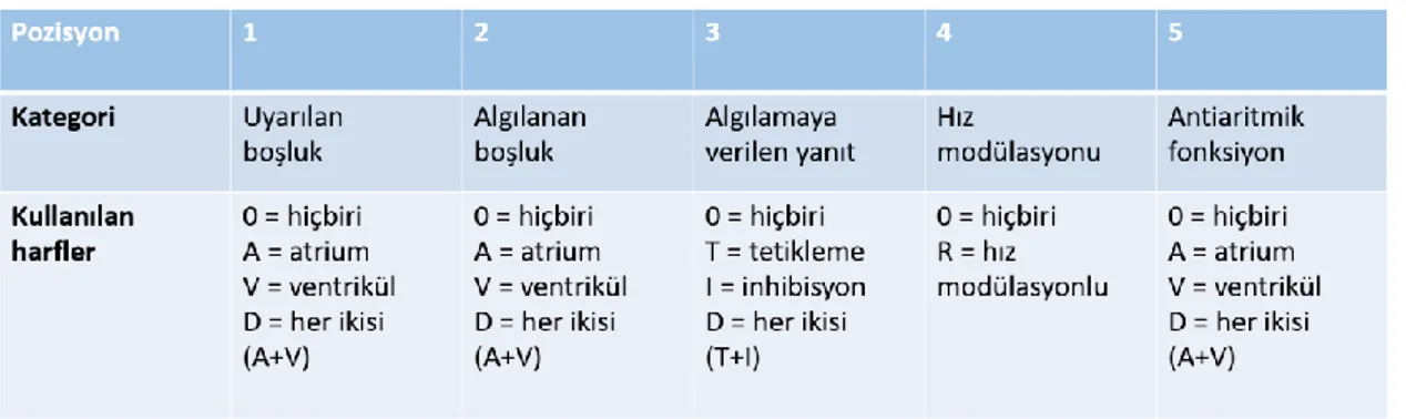 Tablo 2.2. NASPE/BPEG Kalp pili jenerik kodları. 