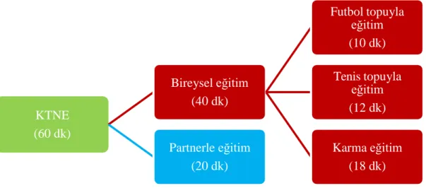 Şekil 3.8. KTNE programı ve süreleri. 
