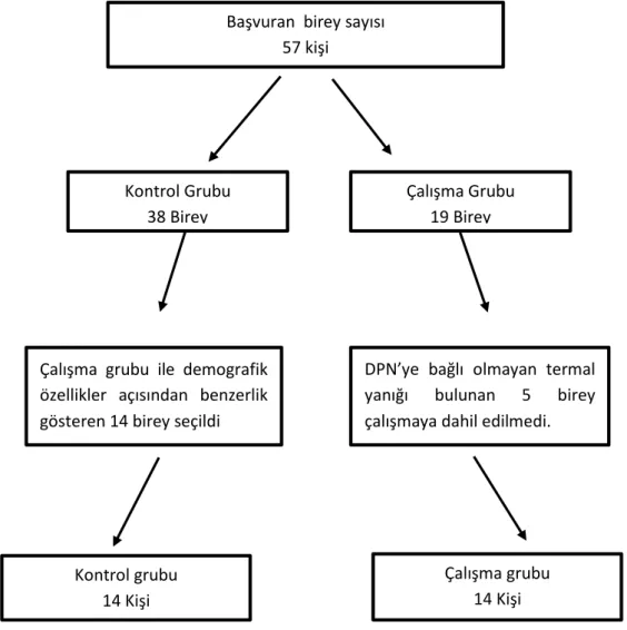 Şekil 3.1. Hasta Akış Şeması Kontrol Grubu 
