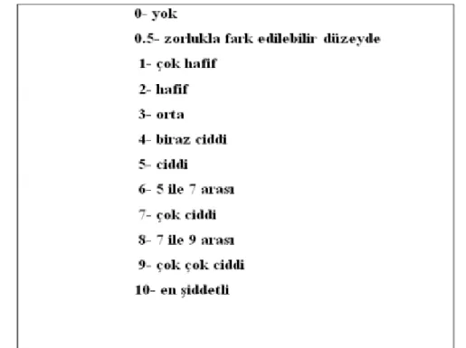 Şekil 3.3. Modifiye Borg Skalası (MBS)