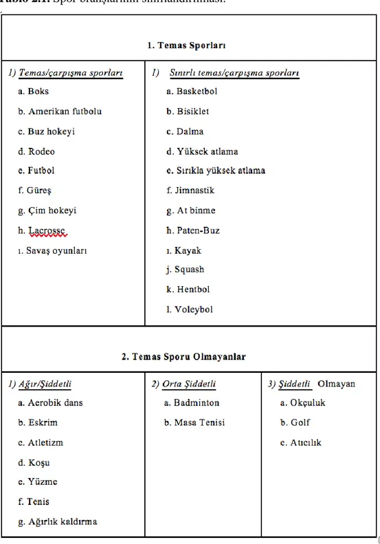 Tablo 2.1. Spor branşlarının sınıflandırılması. 