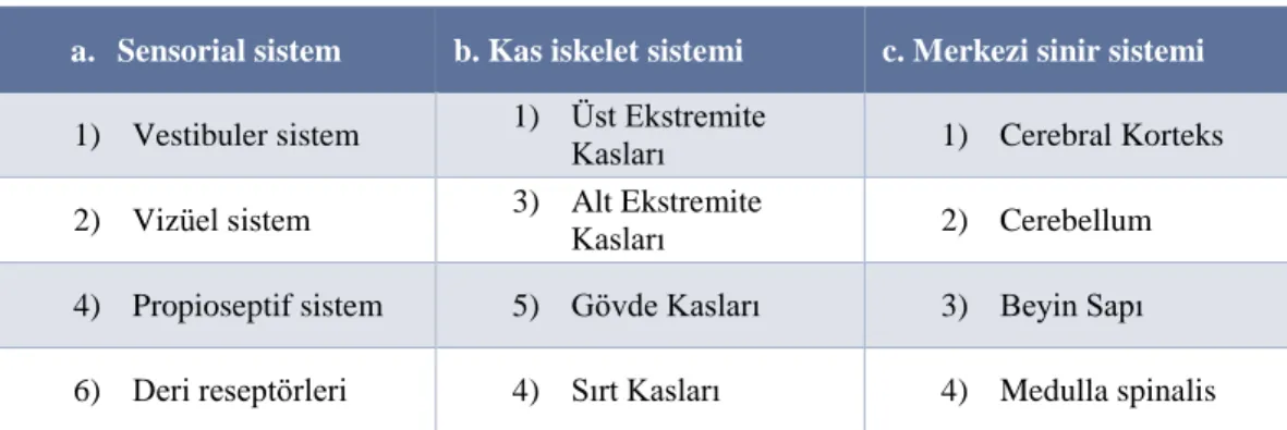 Tablo 2.2. Denge ve koordinasyondan sorumlu yapılar 