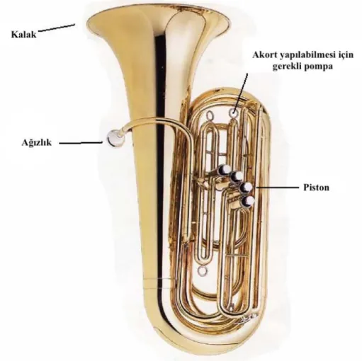 Şekil 2.4. Tuba (14).  