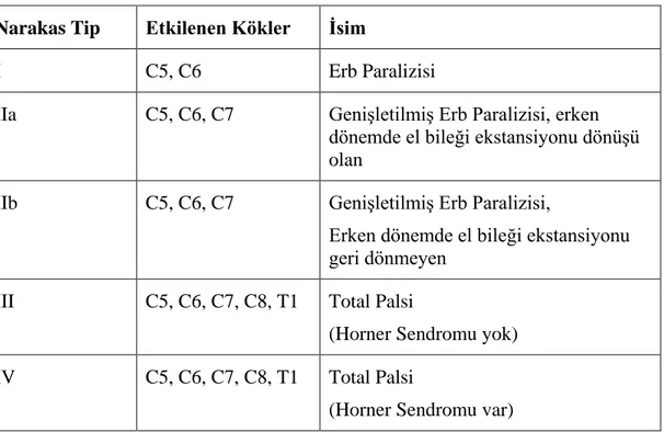 Tablo 2.3. Narakas Sınıflandırması (51)  Narakas Tip  Etkilenen Kökler  İsim 