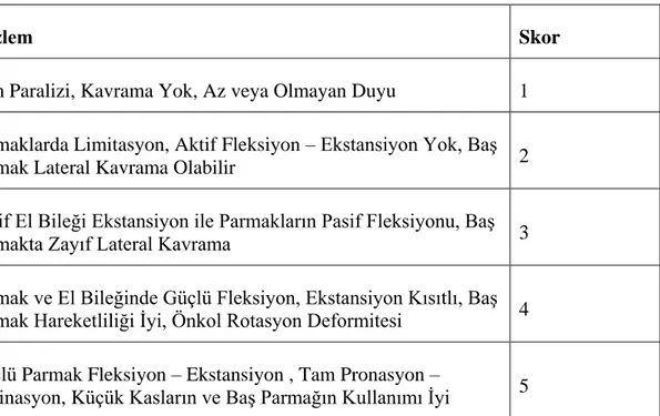 Tablo 3.1 Aktif Hareket Skalası (AHS) (4,61). 