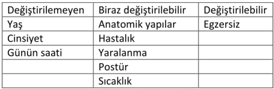 Tablo 2.1. Esnekliği etkileyen faktörler 