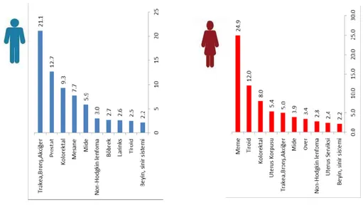 Şekil 2.1. Erkeklerde ve kadınlarda en sık görülen kanserlerin dağılımları (23).  Akciğer  kanserlerinin  %  80,7’si  KHDAK,  %  16,4’ü  KHAK  ve  %  2,9’u  ise  diğer alt tiplerdir