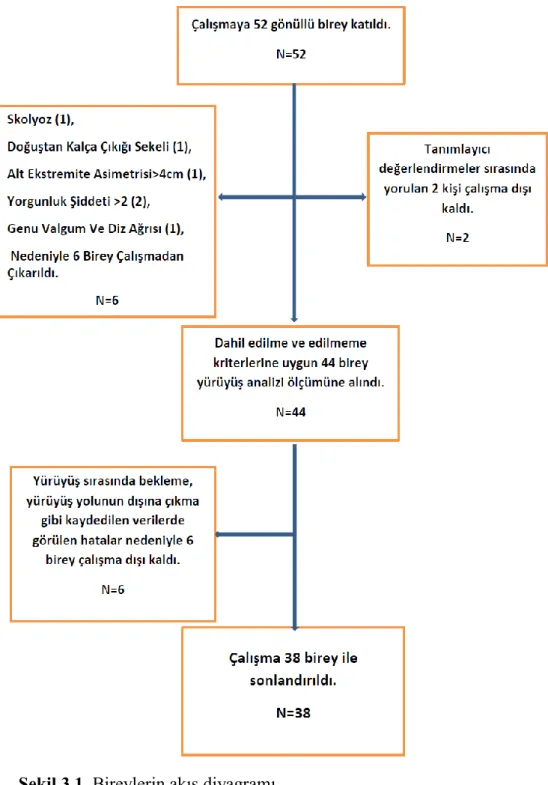 ġekil 3.1. Bireylerin akıĢ diyagramı 