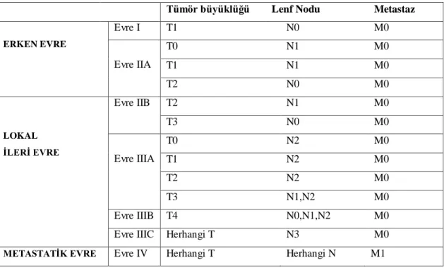 Tablo 2.2. Meme kanserinin evrelere göre sınıflaması (36, 37). 