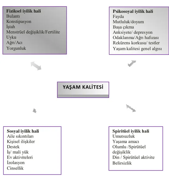 Şekil 2.2. Meme kanserinde yaşam kalitesi uygulama modeli (103).