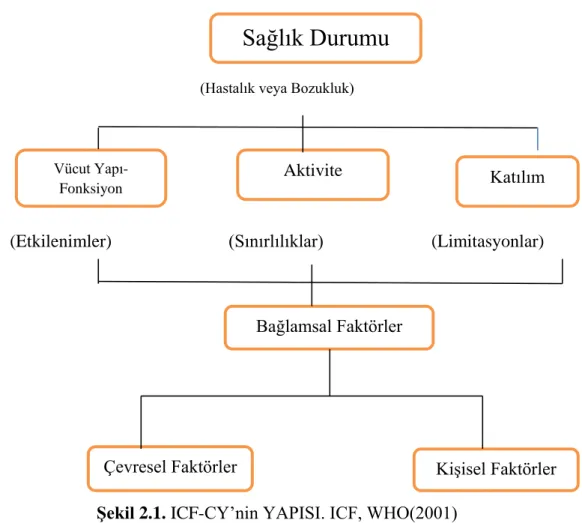 Şekil 2.1. ICF-CY’nin YAPISI. ICF, WHO(2001) 