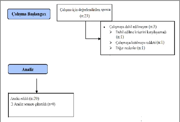 Şekil 3.1. Sporcu Akış Şeması  3.2 Yöntem 