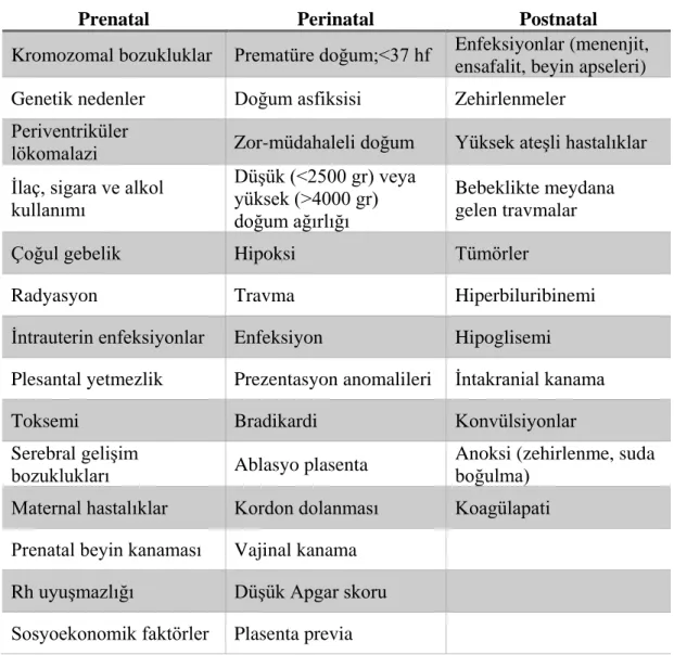 Tablo 2.1. Serebral Palsinin nedenleri. 