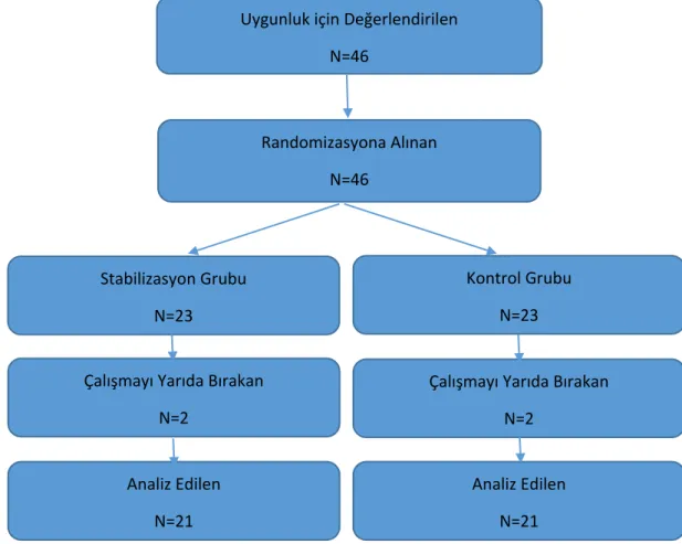 Şekil 3.1. Çalışmanın Akış Diyagramı 