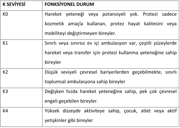 Tablo 1.1. Medicare K Kodu sınıflaması.  K SEVİYESİ  FONKSİYONEL DURUM 