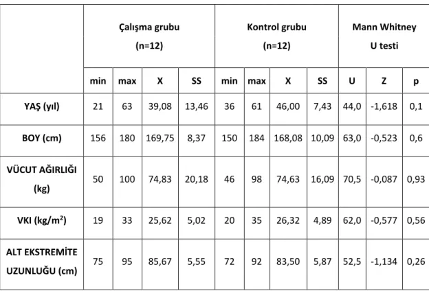 Tablo 4.1. Katılımcıların demografik özellikleri.   