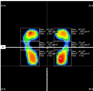 Şekil  3.7.  Statik  pedobarografik  ölçümde  ön,  arka  ve  orta  ayağın  maksimum  basınçlarını veren ekran görüntüsü