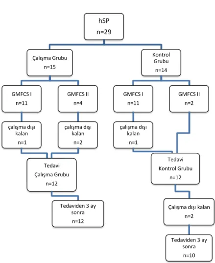 Şekil 1. Çalışmaya katılım diagramı                                       