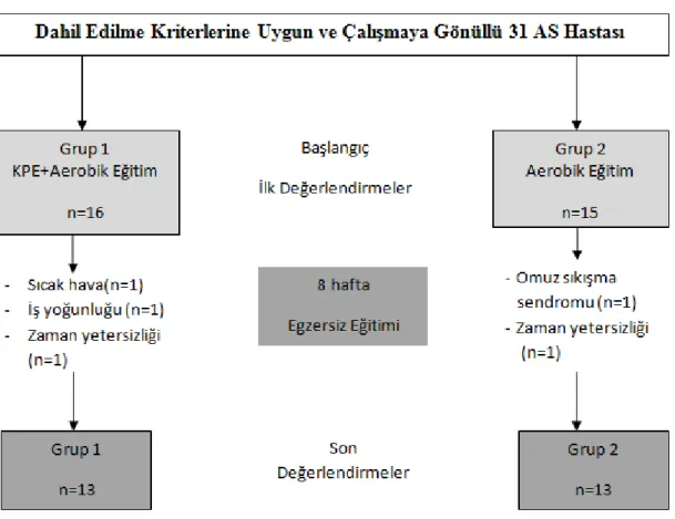 Şekil 4.1. Çalışmaya katılım şeması. 