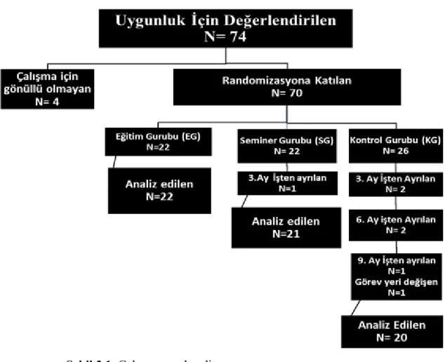 Şekil 3.1. Çalışmanın akış diyagramı 