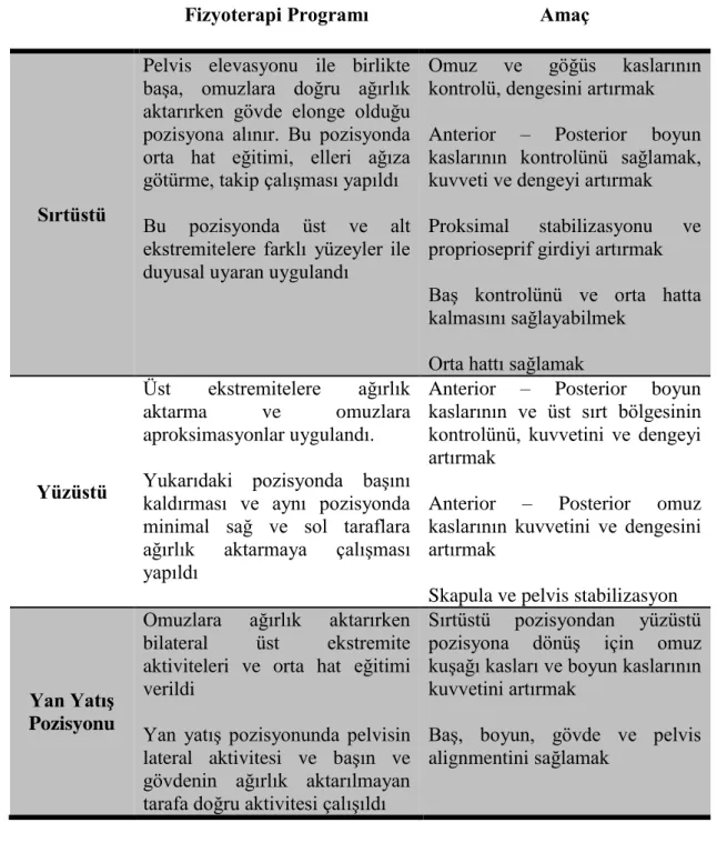 Tablo 3.1. Tedavi Protokolü ve Amaçlar 
